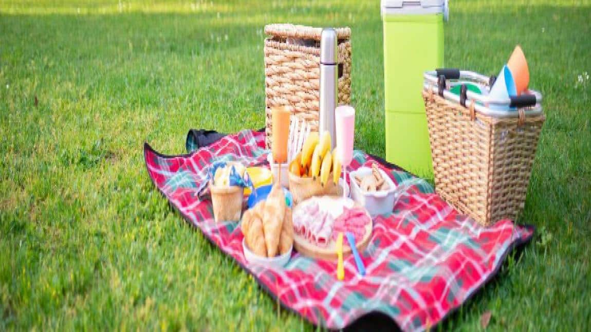 8. Sınıflarla piknik etkinliğimiz.